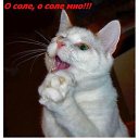   ( -        ,  -  27  2010      