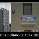 ���� ������� �������, ��������, 60 ��� - ��������� 4 ������� 2013 � ������ ���������� ������