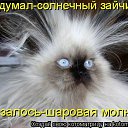 ���� ˸��, ����, 44 ���� - ��������� 26 ���� 2012 � ������ ������