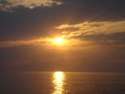 ����, ���, 61 ���