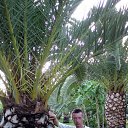  -2009.  &quot;Sunrise Park Respot &amp; SPA&quot;    