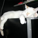 ������ ������ �� ����� ��� �� ������� ������ =)�