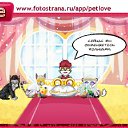 ���� Arial, ������� �����, 42 ���� - ��������� 6 ���� 2011 � ������ �PetLove�