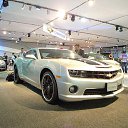 ���� Dexter, ������, 36 ��� - ��������� 25 ������� 2009 � ������ �Dubai Motor Show 2009�