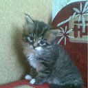 ��� ����� ��� ��� ��������� �����. �� ������� ���������� ������