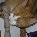 ���� �������, ���������, 24 ���� - ��������� 3 ������� 2011 � ������ ���� �����