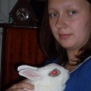 ���� ��������, ������, 36 ��� - ��������� 20 �������� 2010 � ������ ���� ����������