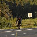 ���� ������, �������-���������, 29 ��� - ��������� 29 ������ 2013 � ������ ���� ����������