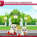  -, -, 48  -  19  2011   PetLove