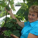 ���� ������, ������-��-����, 70 ��� - ��������� 8 ������ 2013 � ������ ���� ����������