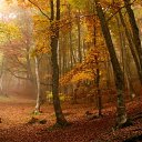 ���� �����, ����� - ��������� 24 ������ 2010 � ������ ��������