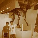 ���� Kuban, �����������, 34 ���� - ��������� 9 ��� 2012