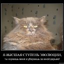 ���� �����, ������������� - ��������� 17 ����� 2010 � ������ �������������!!!�