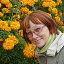 ���� ������, ����������� - ��������� 5 ���� 2013