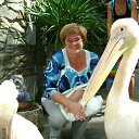 ���� ������, ������������ - ��������� 9 ������� 2013 � ������ ���� ����������