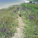 ���� ������, �����, 47 ��� - ��������� 23 ������� 2010 � ������ �PetLove�