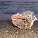 ���� �����, ������ - ��������� 26 ���� 2012 � ������ ����� � ����...�