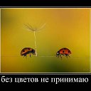 ���� Angel, ���������, 39 ��� - ��������� 3 ������ 2010 � ������ �...�