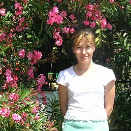 �������, ������, 56 ���