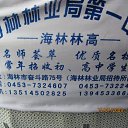 ���� ����, ������-�������, 45 ��� - ��������� 11 ������ 2009 � ������ ������������ �� ������