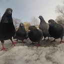 ���� ����, ������ ��������, 40 ��� - ��������� 9 ������ 2013 � ������ ������ ��������
