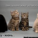 ���� �����, ������, 26 ��� - ��������� 25 ���� 2010 � ������ ���������