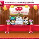  , , 56  -  29  2011   PetLove