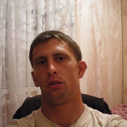 �����, ������, 41 ���