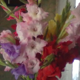 ���� ������, ��������, 57 ��� - ��������� 5 ����� 2012