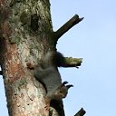 ���� �����, ������, 67 ��� - ��������� 11 ����� 2012 � ������ ���� ����������