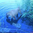 ���� ��������, �������, 49 ��� - ��������� 15 ������ 2010