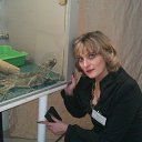 ���� �������, ��������, 53 ���� - ��������� 5 ������ 2012