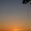 ���� ���, �����-��������� - ��������� 31 ��� 2010 � ������ ������������������......����������������