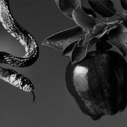 Andrey, ������, 46 ���