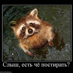 ���� Van�]{, �������, 35 ��� - ��������� 7 ������ 2011