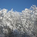 ���� �������, ������, 45 ��� - ��������� 25 ������ 2013 � ������ ���� ����������