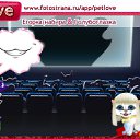 ���� ����, ������, 50 ��� - ��������� 10 �������� 2010 � ������ �PetLove�