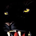 ���� �����, ������-��-����, 51 ��� - ��������� 26 ����� 2011 � ������ ���� ��������