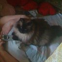 ���� ����, ������, 64 ���� - ��������� 1 ������� 2011 � ������ �������