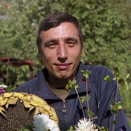 ����, ����, 55 ���