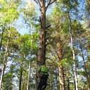 � �� ������� ���� ����������