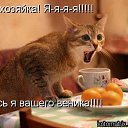 ���� �������, �����, 76 ��� - ��������� 1 �������� 2011 � ������ �PetLove�
