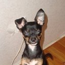 ���� ����, ������, 42 ���� - ��������� 30 �������� 2011