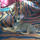 ���� ����!, ���������, 61 ��� - ��������� 9 ������� 2011 � ������ ���� ������� �������-����.�