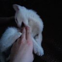 ���� ���4o���(�4-jb)������� �� �����, �����������, 28 ��� - ��������� 5 ������� 2011 � ������ ������....� ��� �� ���