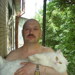 ���� Vasya, ��������������, 65 ��� - ��������� 12 ������ 2013