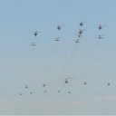 ���� �������, ������, 45 ��� - ��������� 9 ��� 2010 � ������ �9 ����