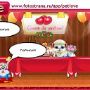  , , 38  -  27  2011   PetLove