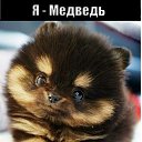 ���� E.l.i., �����, 64 ���� - ��������� 30 ���� 2013 � ������ ���� ����������