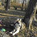 ���� ����, �����������, 44 ���� - ��������� 8 ��� 2012 � ������ ���� ����������